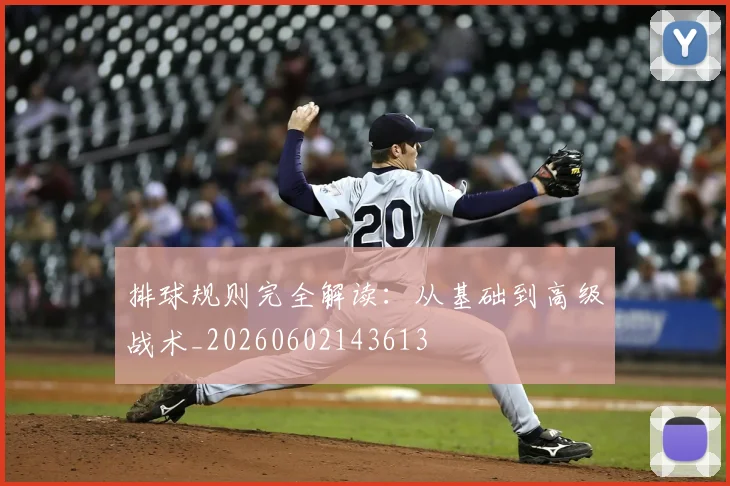 排球规则完全解读：从基础到高级战术_20260602143613